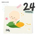 잠실준25시동물병원 | 25년 12월 임산부 23주-27주 증상 일상 몰아보기