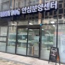 버디독 강아지분양 안심분양센터 서울 영등포점 이미지