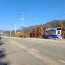 곡성군(목사동1교) Daum카페