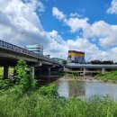 기아대교 이미지