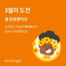 메리요가 네이버블로그