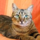 민락동물병원 이미지