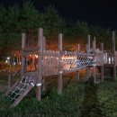 포레스트독 이미지