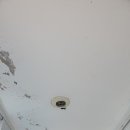 상일바이오 이미지