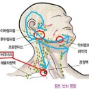 유미테라피