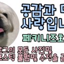 코인박스동전노래연습장 이미지
