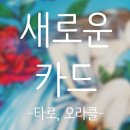 오라클랜드(주) 이미지
