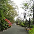 남한강자전거길 21 이미지