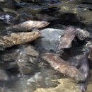 동보수산 이미지