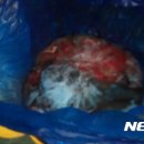 서부흑염소 이미지