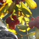 두용농장 이미지