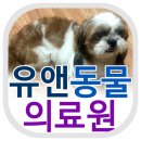 유앤동물병원 | [동물병원후기] 송파구 오금동(방이역)에 위치한 합리적인 진료! 과잉진료 없는 친절한~ 동물병원 유앤...
