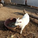 창연농장 이미지