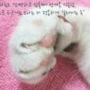 어라운드 매거진 AROUND 2014.09_vo.16