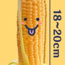 성진농장 2 이미지