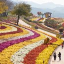 화순군, 남산공원에 핑크뮬리 등 가을꽃 활짝 피어다. 이미지
