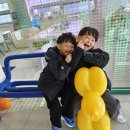 제일아이캔태권도 | 지사동 태권도 추천! 우리 아이가 좋아하는 고려태권고(지사동 키즈 체육 1등 후기)