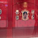 현대애견사료 | 더현대서울•한정선찹쌀떡•뚜누 발매트•애견용품 🐶