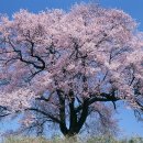 눈썹나라 - 광명시 오리로 970 | 눈썹나라