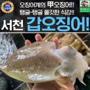 에바다