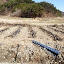 창춘농장 이미지