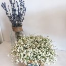 여주-0704 이미지