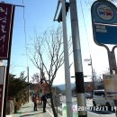 수림장 이미지