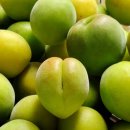 강화푸드크린 이미지