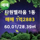 타원벨라움부동산공인중개사사무소 이미지