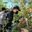 수원-1080 이미지