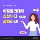 [🍁둥지이민🐥]워홀러에게 듣는다 캐나다 워킹홀리데이 신청부터 생활 꿀팁까지 이미지