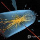 유럽입자물리연구소 &#34;힉스 입자 발견 확실시&#34;(종합) 이미지