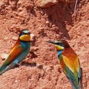 가미푸드 이미지