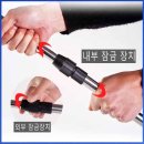 구갑죽 감수분수 모과묘목 감나무 포도 = 이미지