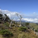 소리구상 이미지