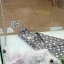 위례리본정형외과의원 이미지