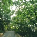 부석초등학교남대분교장 이미지