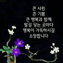당당한 삶 이미지