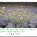 반디농장 티스토리