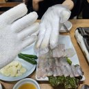 돈지메국밥 | [12월]2025 마지막일상