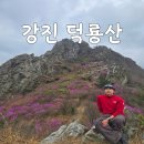(주)드림정보시스템 | 26년 강진 덕룡산 진달래코스 암릉 맛집 진달래 개화정보