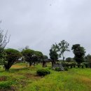 분재공원 화장실 이미지