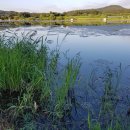 내곡낚시터 이미지