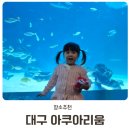 신세계성인오락실 | 대구 아이랑 가볼만한곳 신세계백화점 대구아쿠아리움