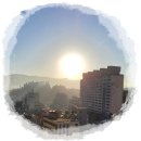 태양슈퍼 Daum카페
