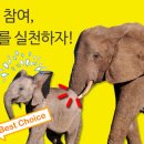 넛지 티스토리