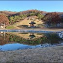 종합법률사무소율목