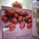 진천군청 이미지