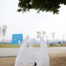 정성을담다 이미지