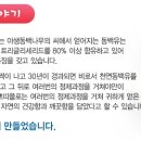쁘띠플로
